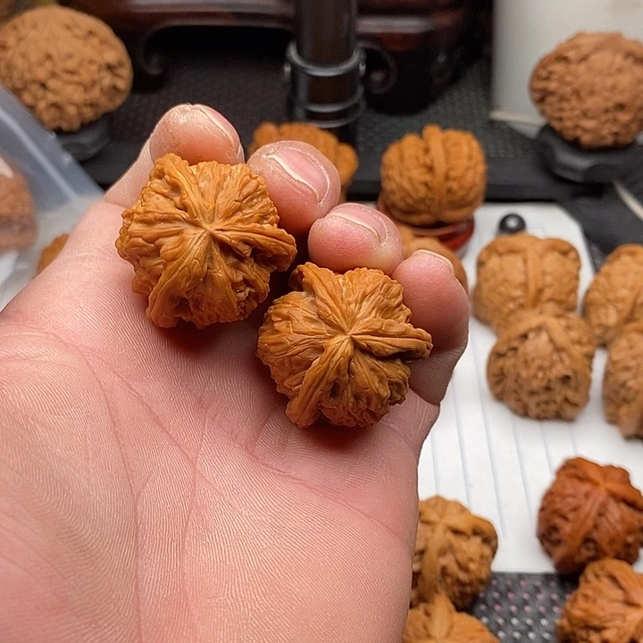 核桃手串/手链拼接白狮子3