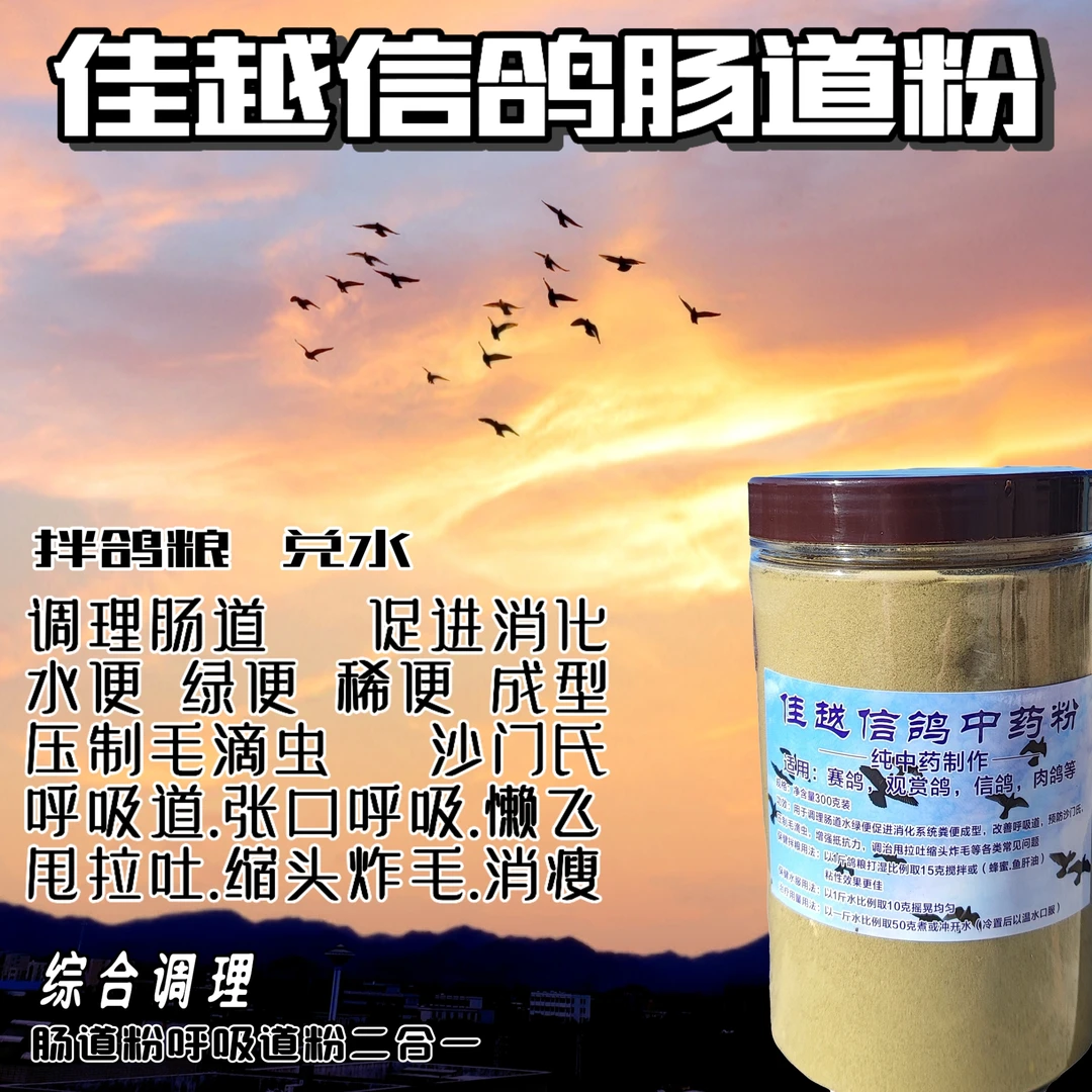 【新店上架】赛鸽呼吸道中药粉肠道粉精调二合一压制球虫毛滴虫沙门