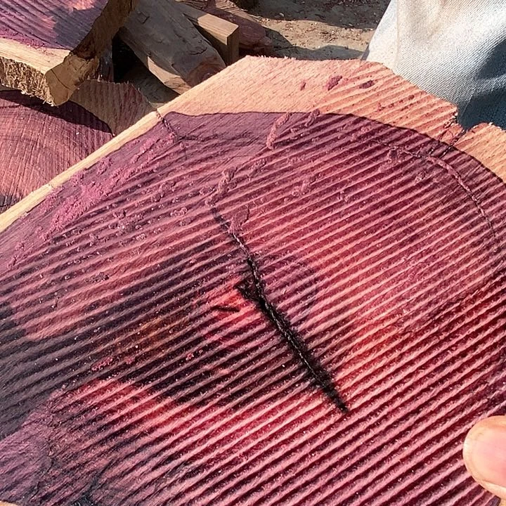 木876毛料毛料毛料毛料