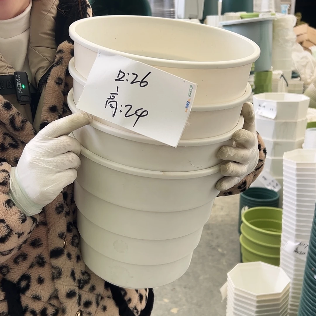 多孔盆4#白色4个无托