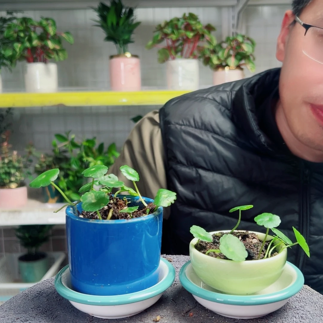 嘟***爸无花朵25