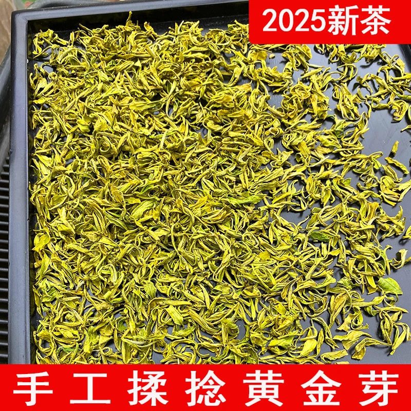 【2025年新茶】手工黄金芽 老品种揉捻  豆香花香果香明前散装茶叶