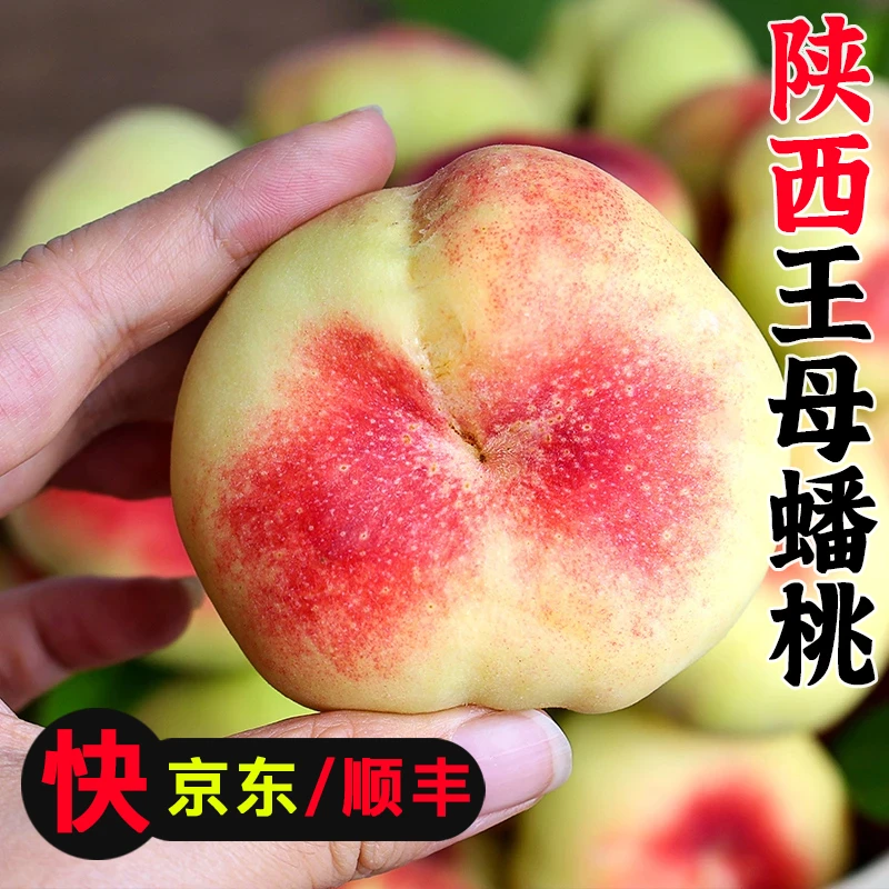【京东/顺丰】陕西王母毛蟠桃彩虹纽扣毛蟠桃新鲜现摘水果