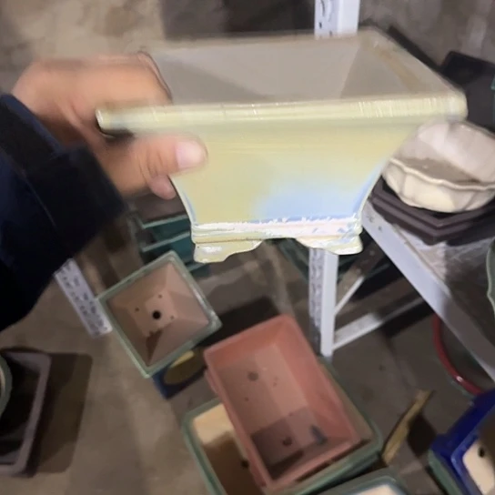 我的朋友在哪里我想我可以做一条