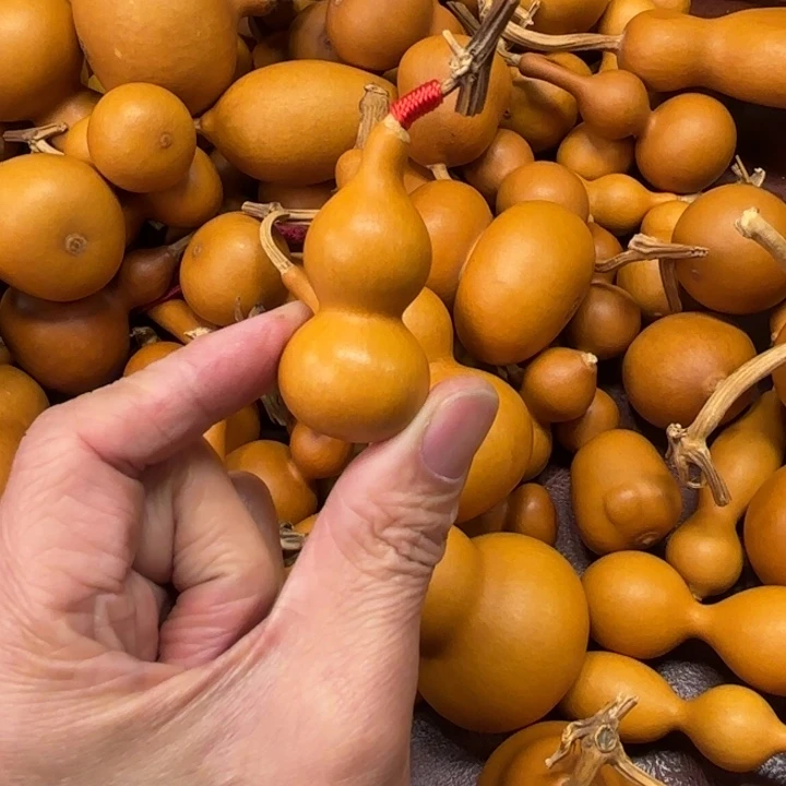 蝶爷爷的一把天津嘴天津都