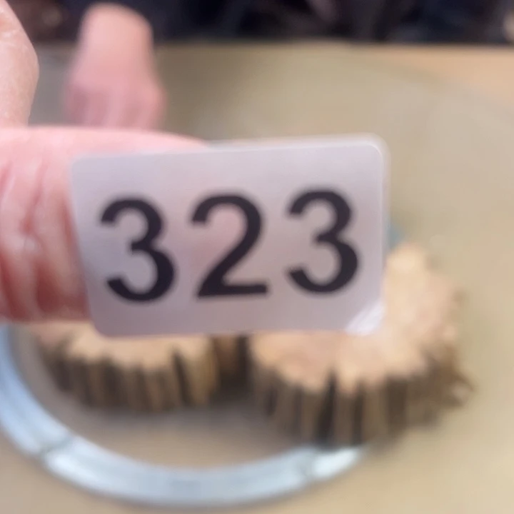风车木（黑檀木）?****?我在这里等你们