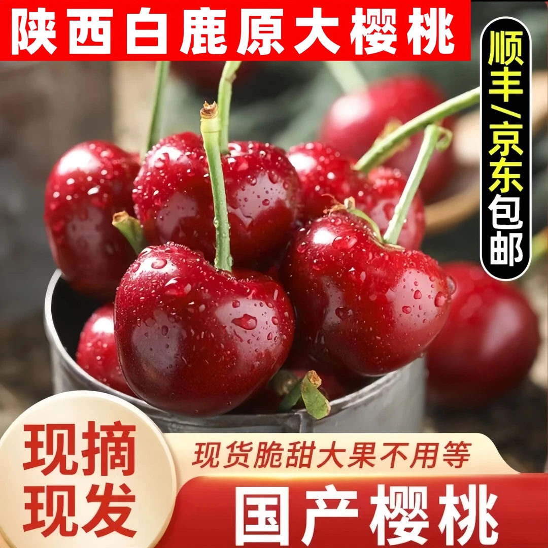 【正宗大樱桃】陕西白鹿原大樱桃现摘现发自然成熟脆甜多汁净重3斤