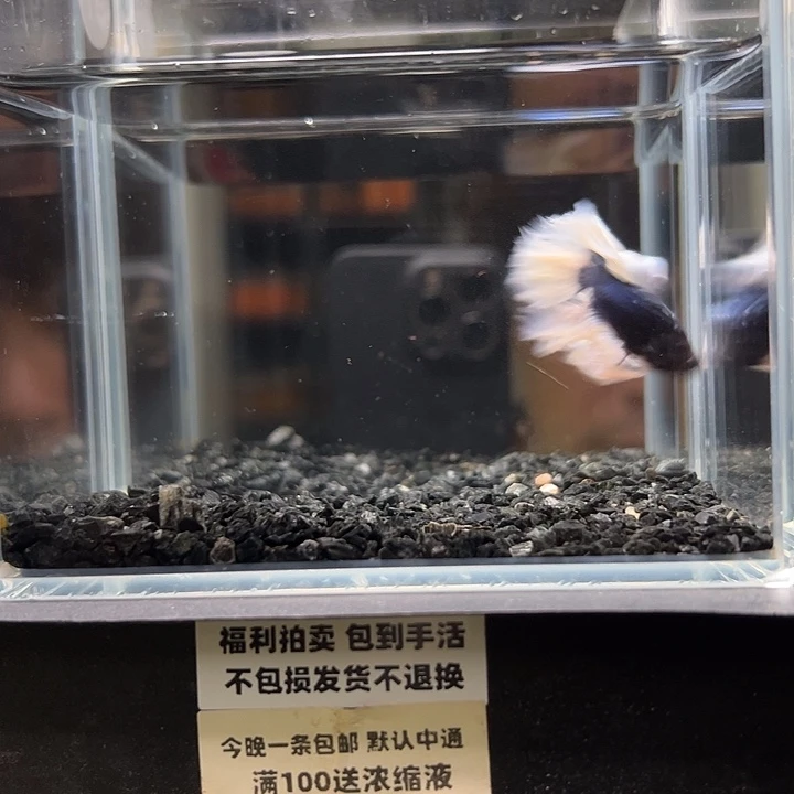 斗鱼竞拍跑单拉黑26日97