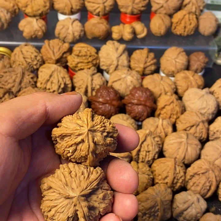 健***活大叶紫檀（黑酸枝木类）