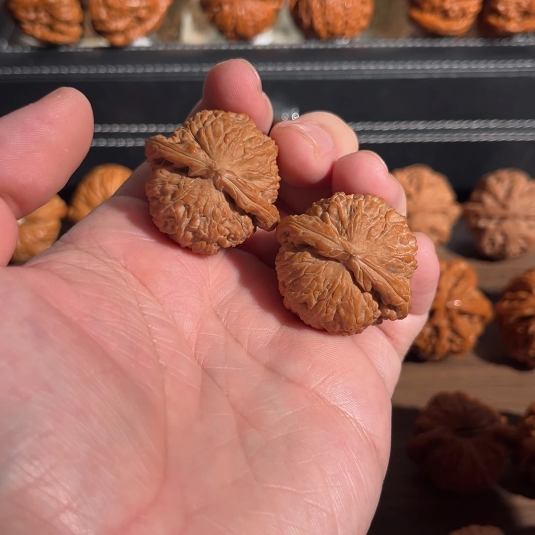 手串/手链核桃请****哥35全品白狮子