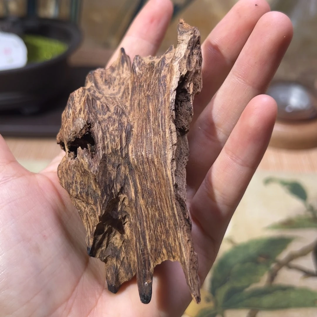 【闪购商品】香榧木海南木料大山虫漏22克开播福利