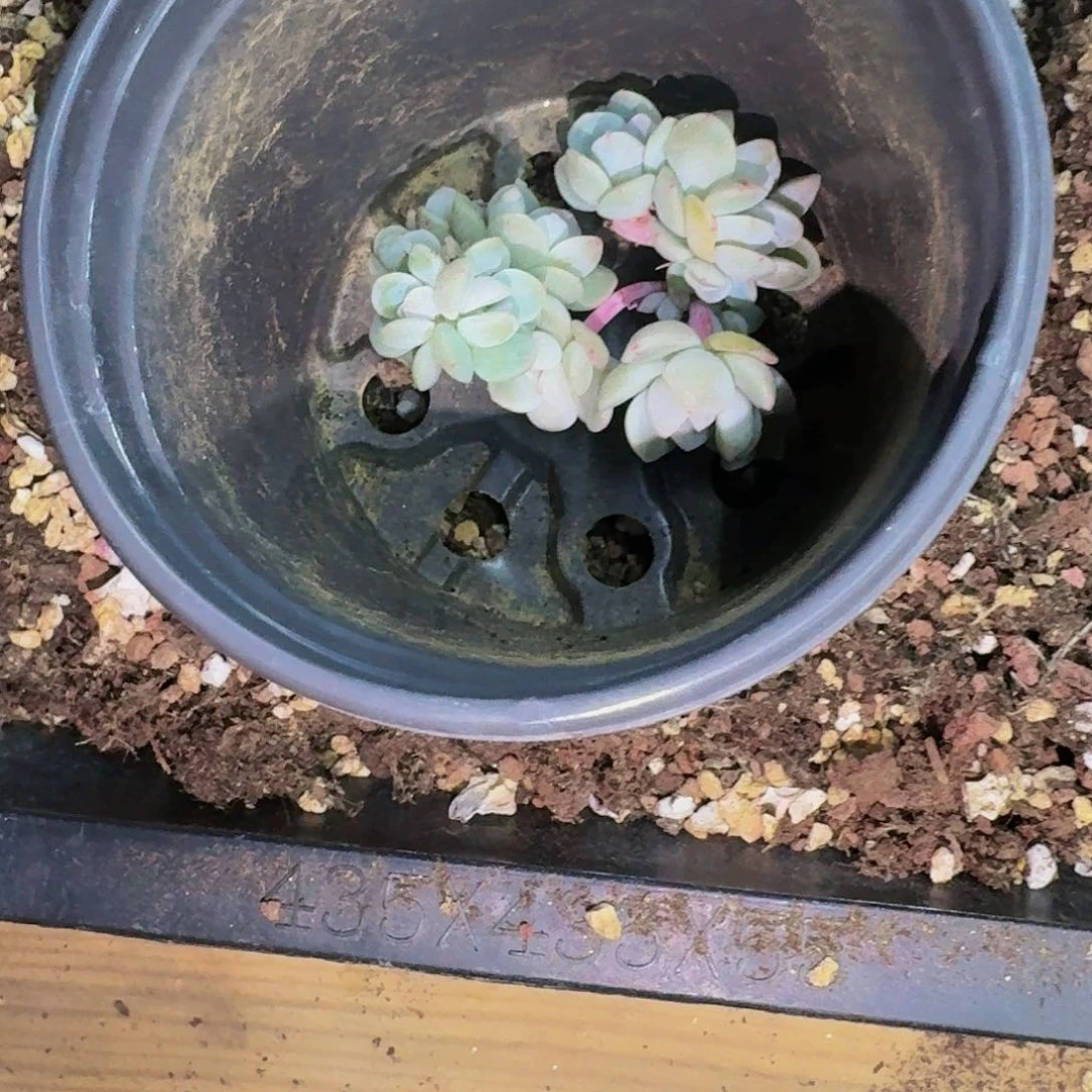 护***克哈哈哈哈哈哈哈哈哈哈