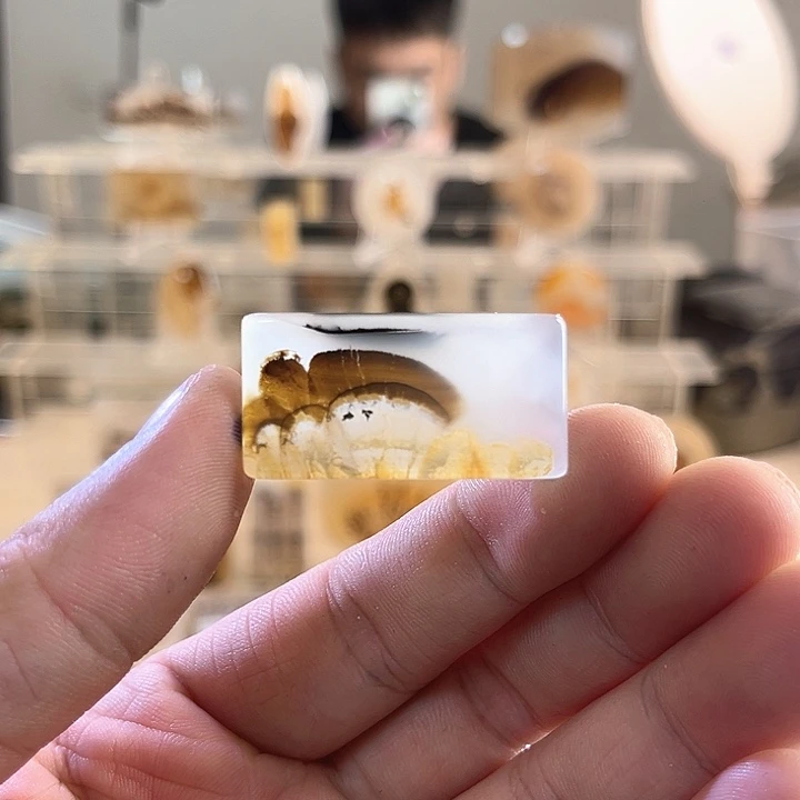 玛瑙/玉髓未镶嵌吊坠(不含链)