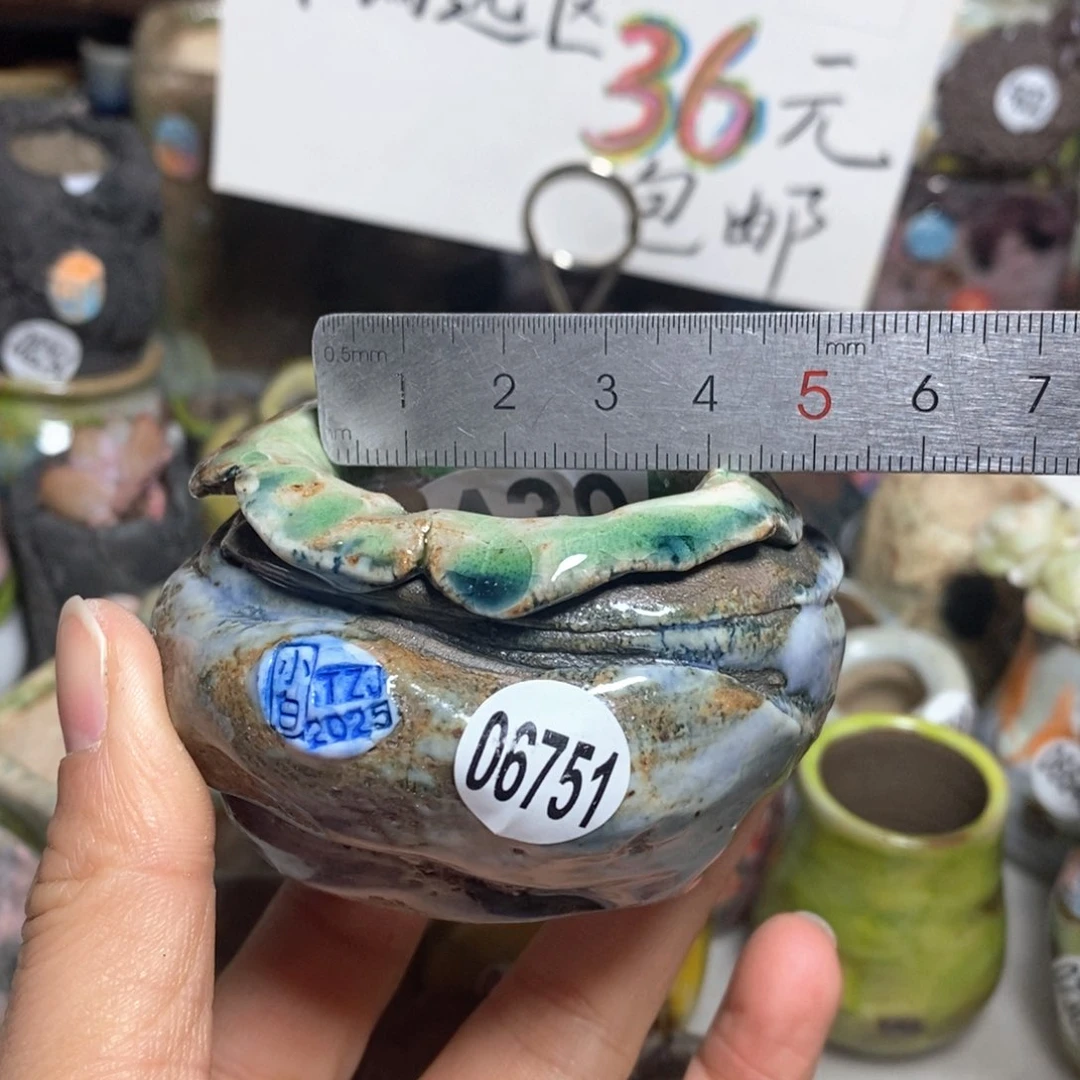 花盆拍3送一个小礼物