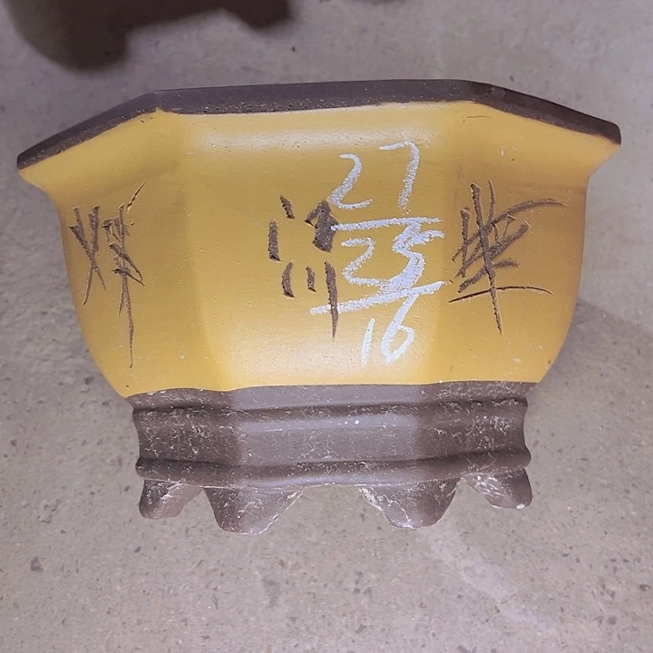 周深周深周深周深
