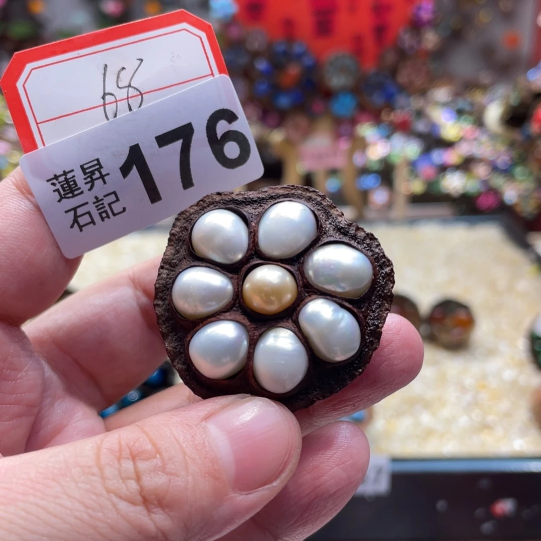核桃木/黑胡桃（胡桃木）176珍珍