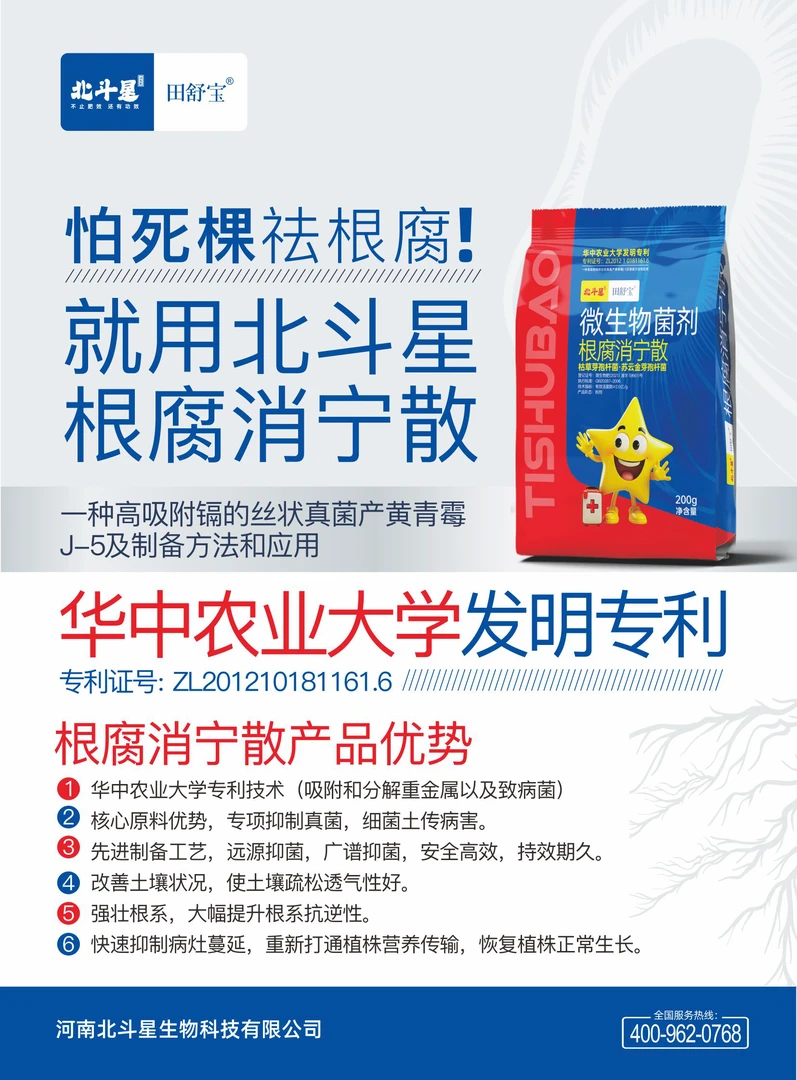 根腐消宁散防治大蒜，花生，死根烂苗黄叶黑根