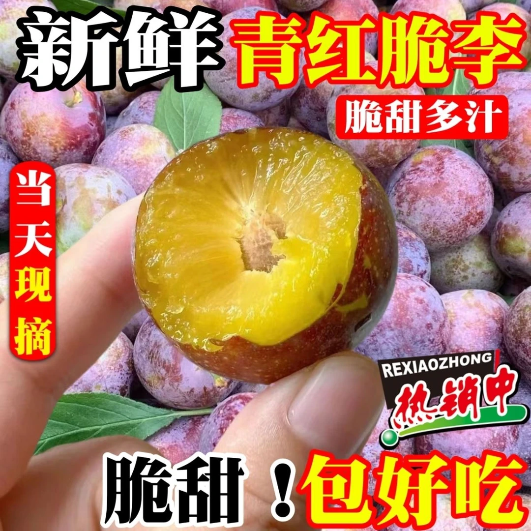【四川脱骨李】高山当季水果脆李孕妇茵红李青半边红脆红李