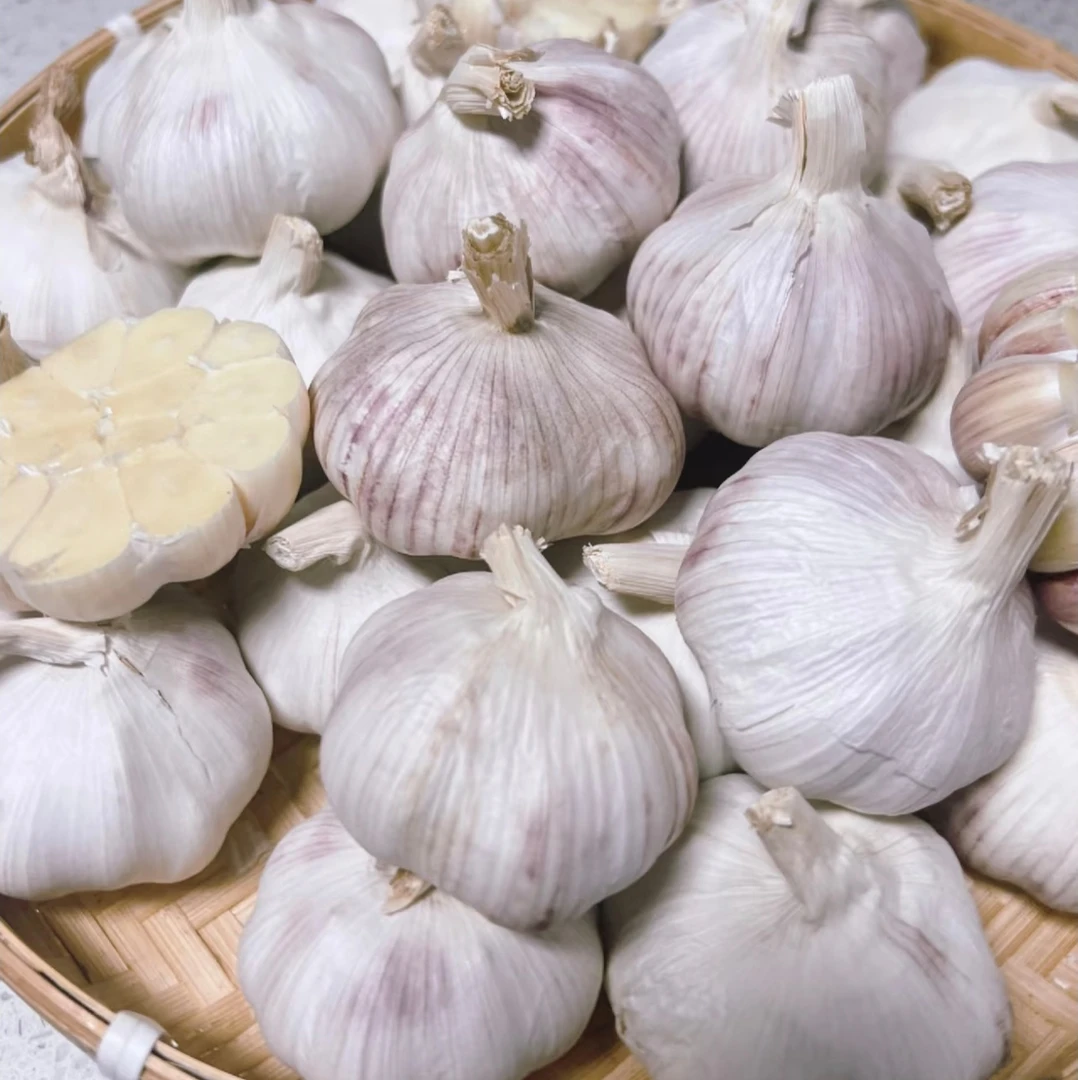 【农家大蒜】四川广元农家高山种植大蒜香味浓郁自然晒干