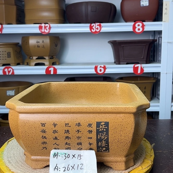 紫砂花盆你在一起