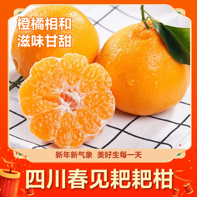 【RX专属】四川正宗春见耙耙柑新鲜当季水果多汁细腻化渣产地直发