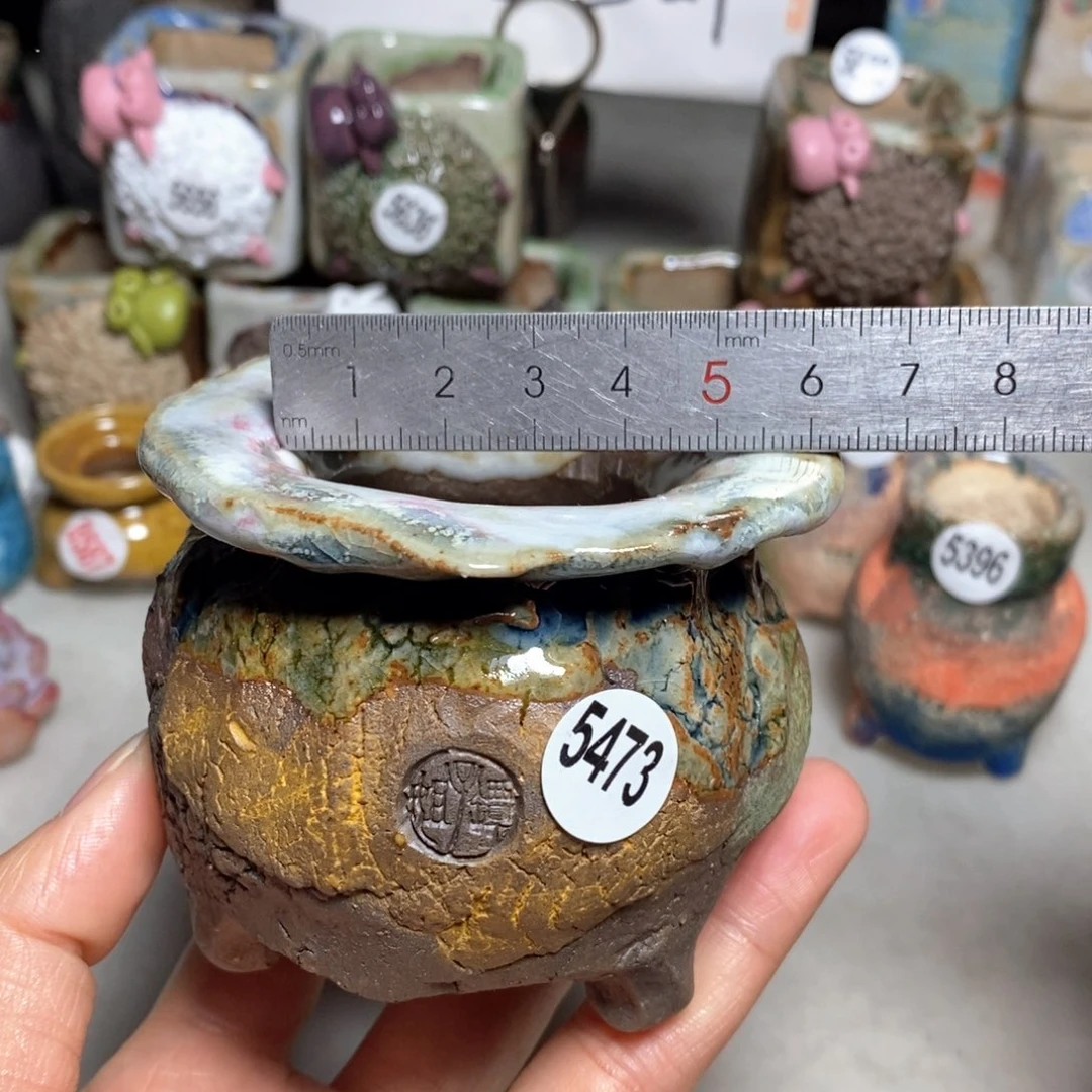 拍3送一个小礼物