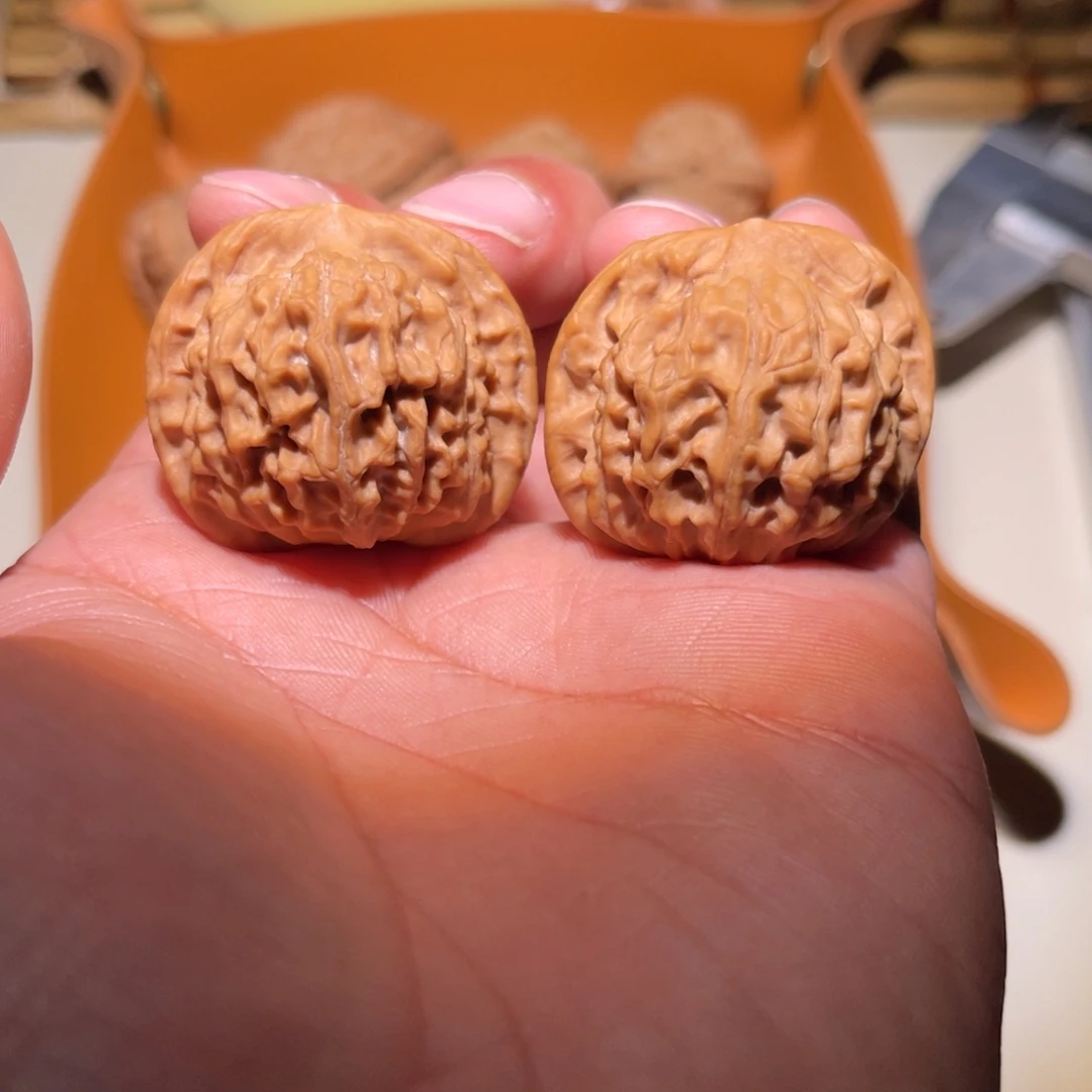 文玩核桃把件35+天地