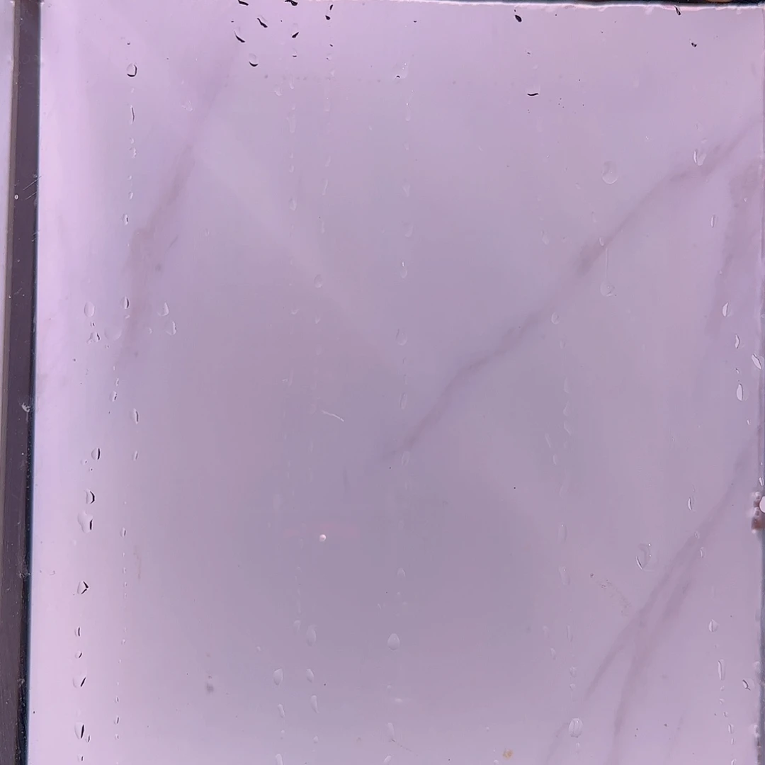 金鱼冷水观赏鱼苗