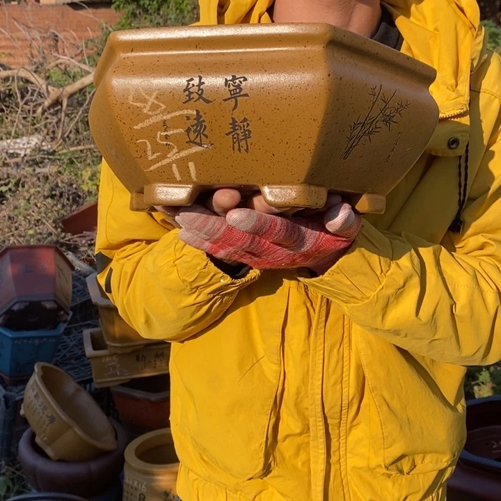 紫砂花盆紫砂特价包邮送