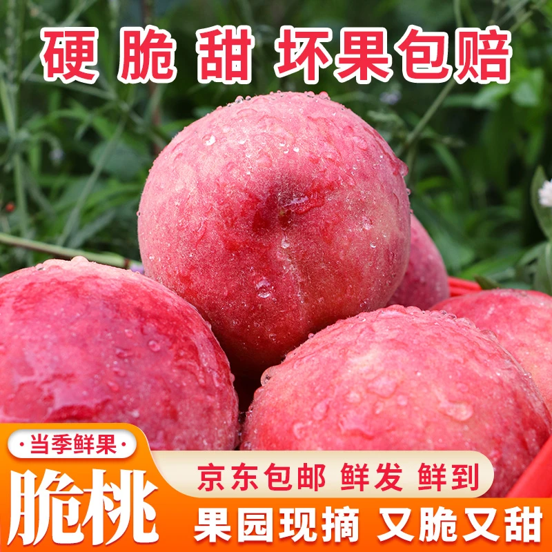 顺丰包邮龙泉东面脆桃新鲜采摘直发脆甜四川龙泉驿应季水果