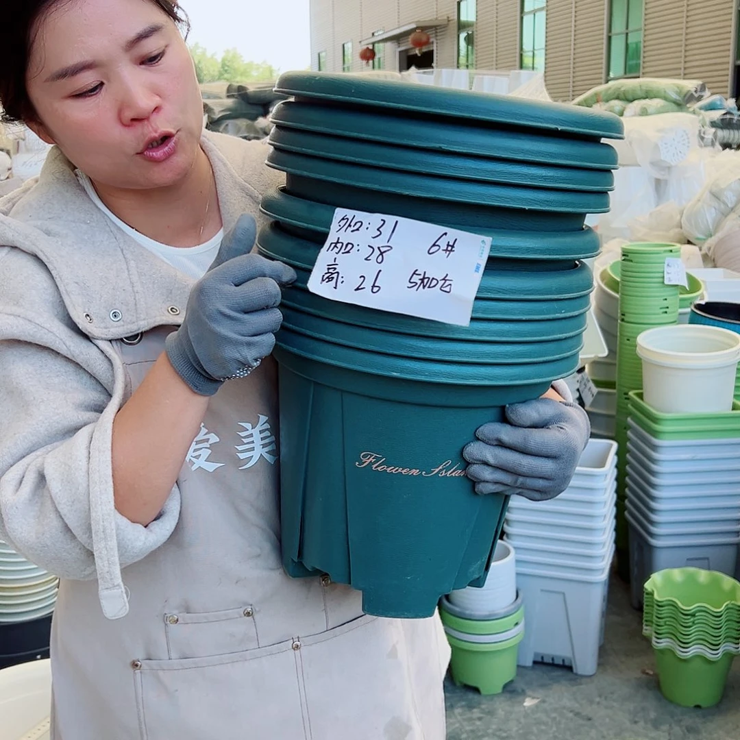 青山盆6#墨绿色5个无托