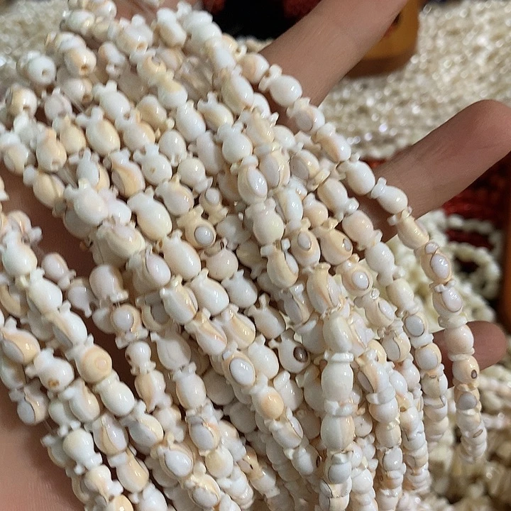 贝壳非金属一条天然粉螺郁金花