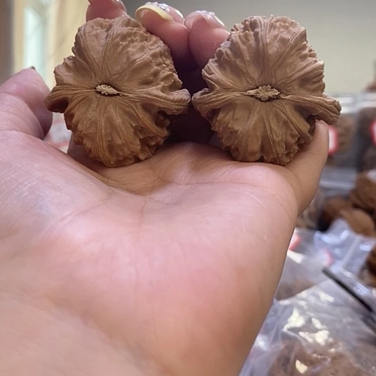 文玩核桃吊坠39➕白狮子有修