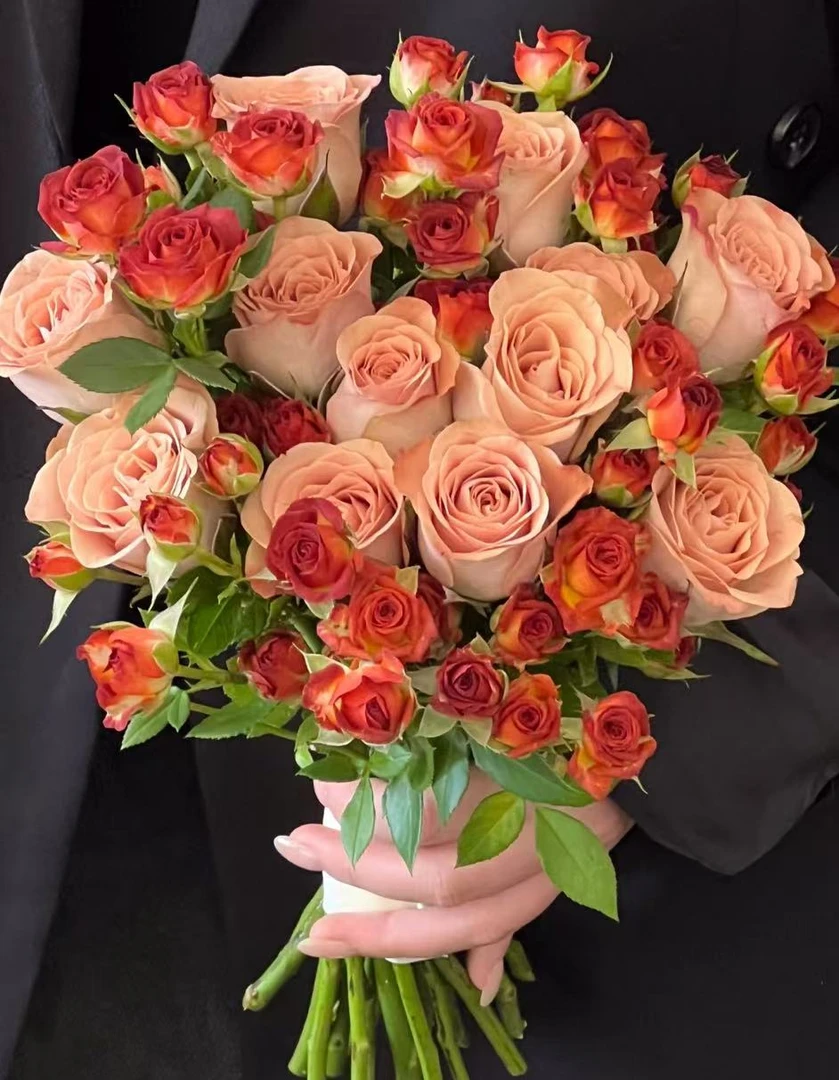 【卡布＋巧克力＋尤加利叶】一单京东或顺丰送货上门偏远地区发空运