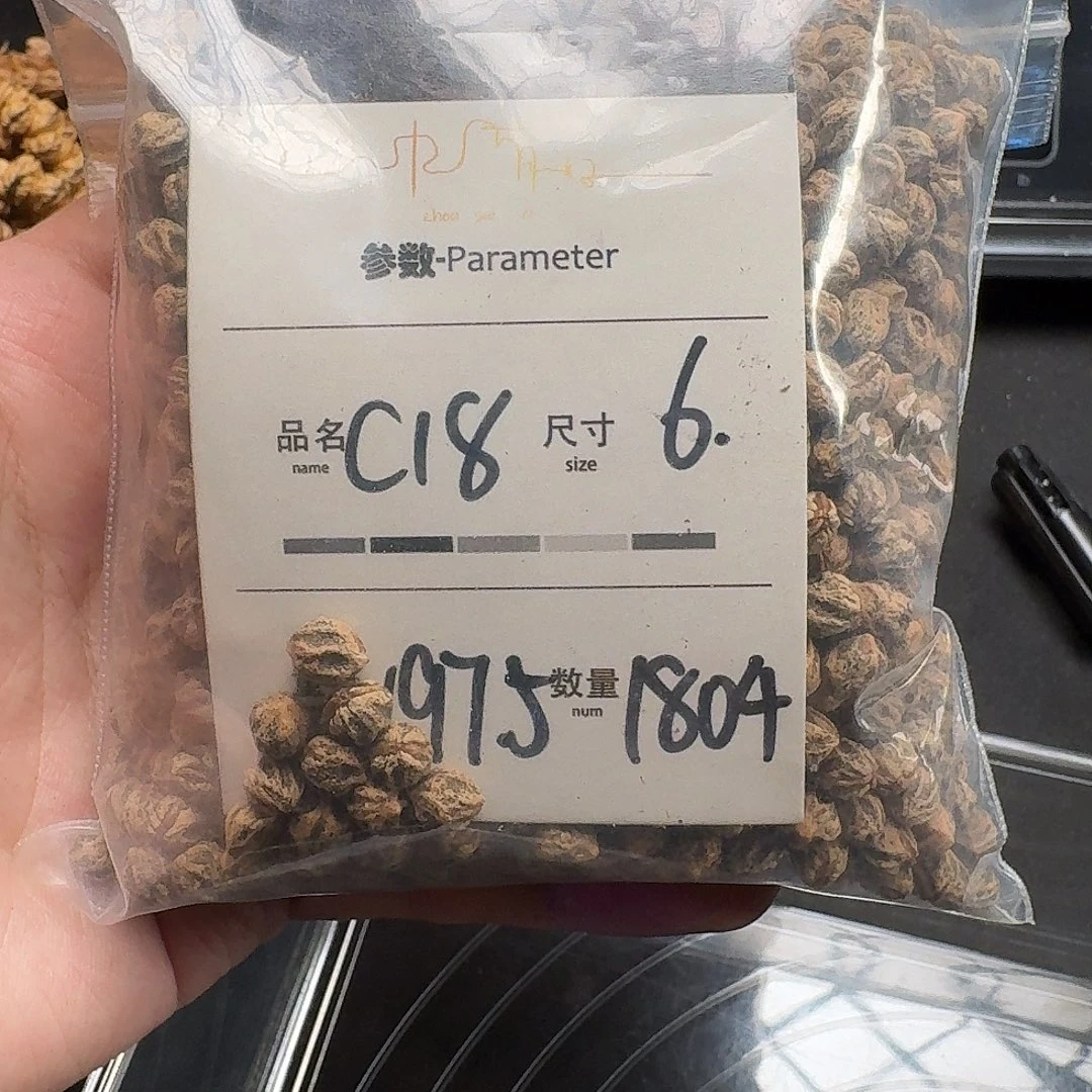 柏香籽/百香籽吊坠