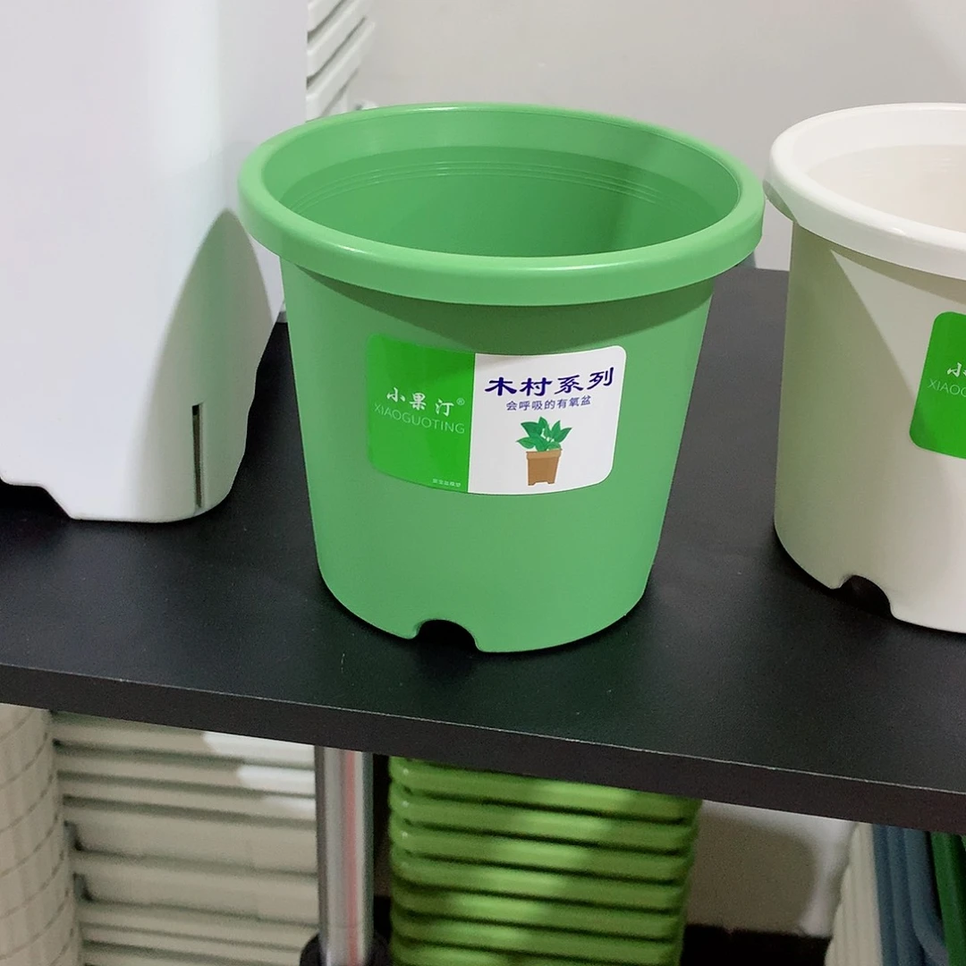 树脂四季口15果绿10个无托