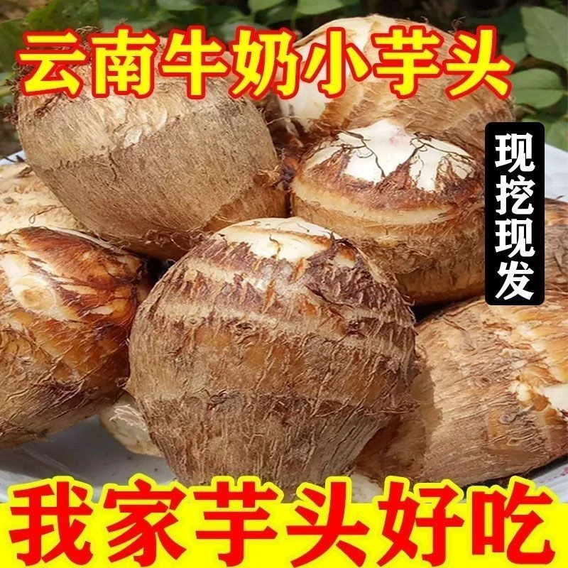 【超低价】云南牛奶小芋头正宗香糯高原毛芋头软糯1/3/5/9斤包邮