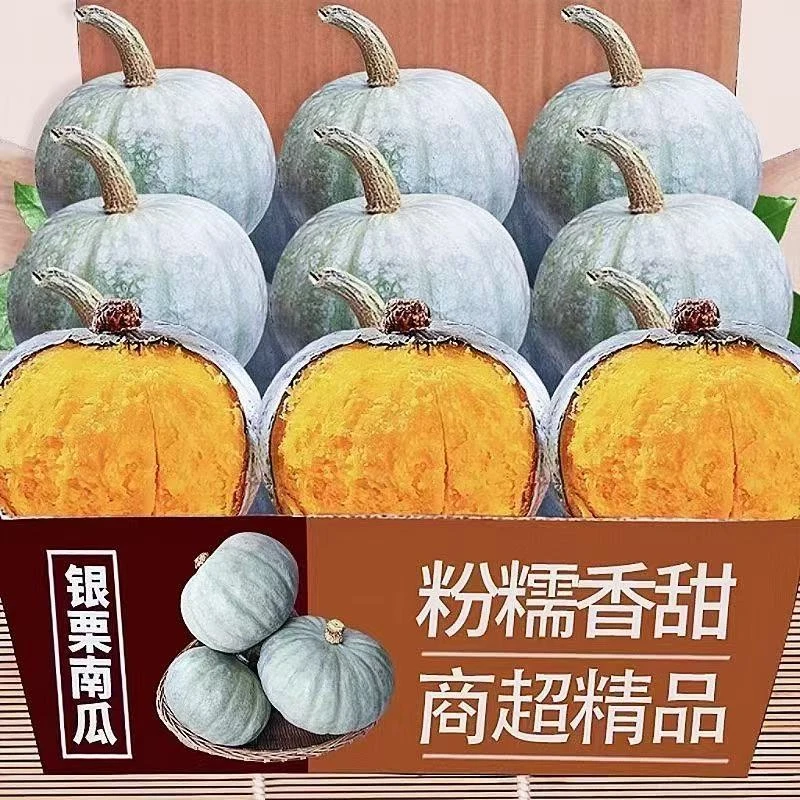 正宗银栗南瓜粉糯香甜老南瓜好吃营养适合孕妇宝宝辅食