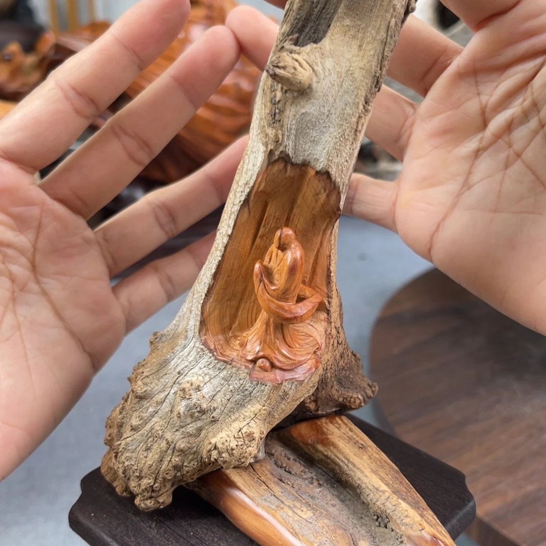 柏木（崖柏）崖柏太行山脉