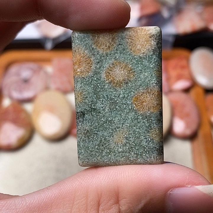 硅化玉颈饰未镶嵌糖**9