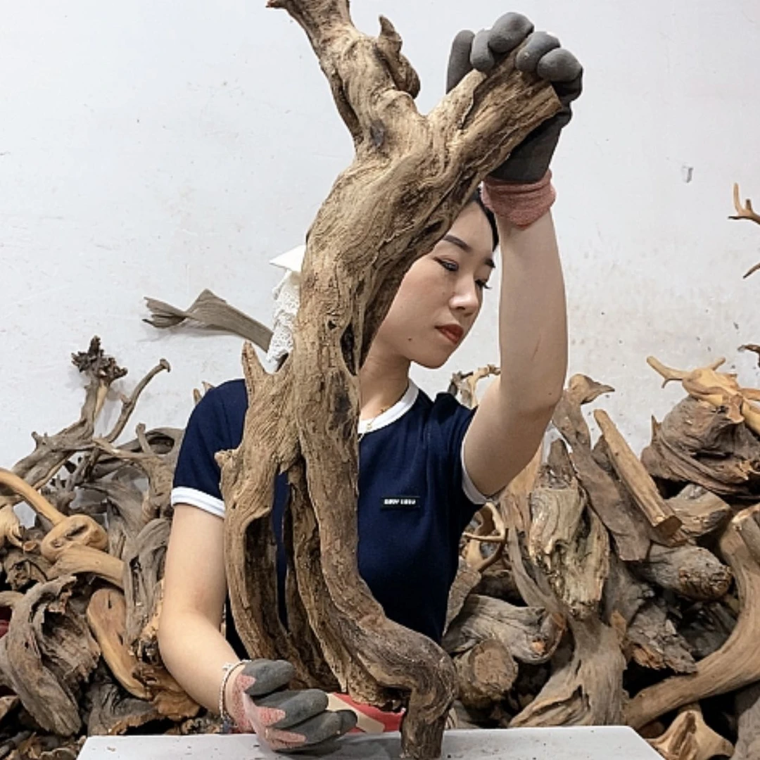 【闪购商品】柏木绿**殖我们都是好孩子啊