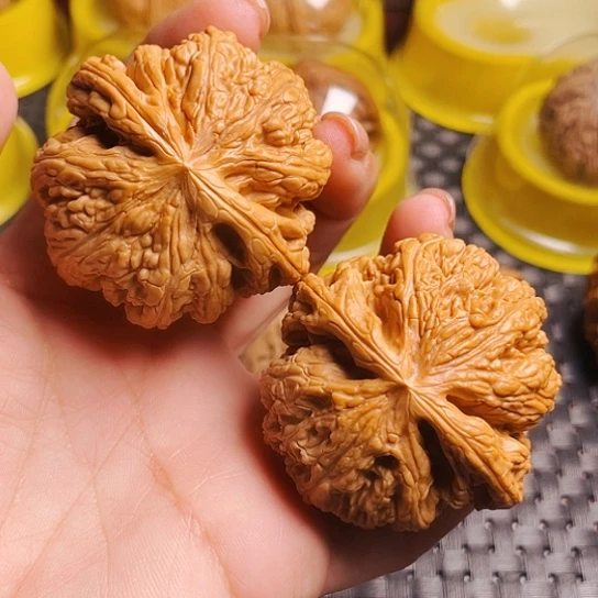 文玩核桃48尺大粗筋