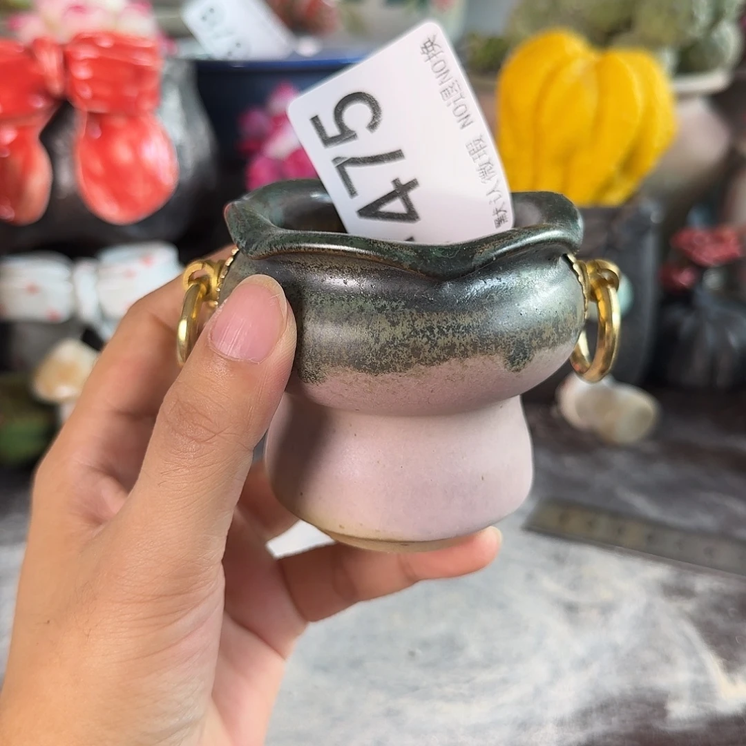 重庆小燕子欢迎大家475
