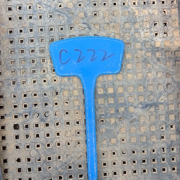 C222,混色侧牙12个，瑕疵歪头