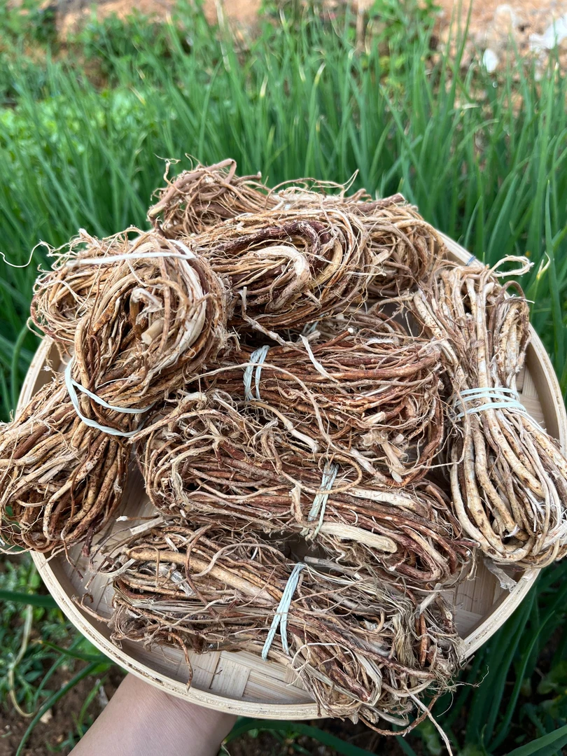 大山 无硫  五指毛桃根系    自然晒干