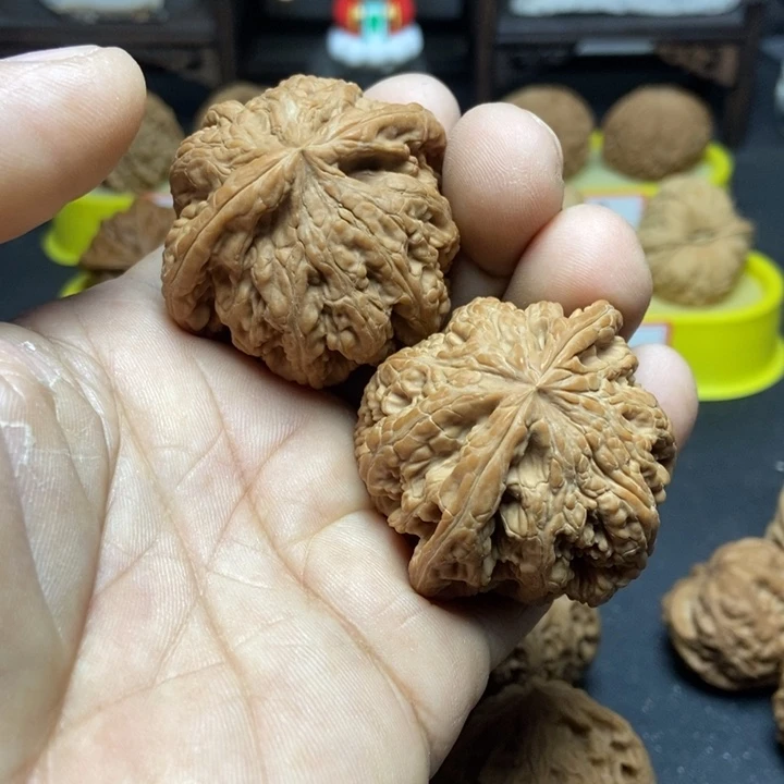 核桃疏*山地大粗筋666