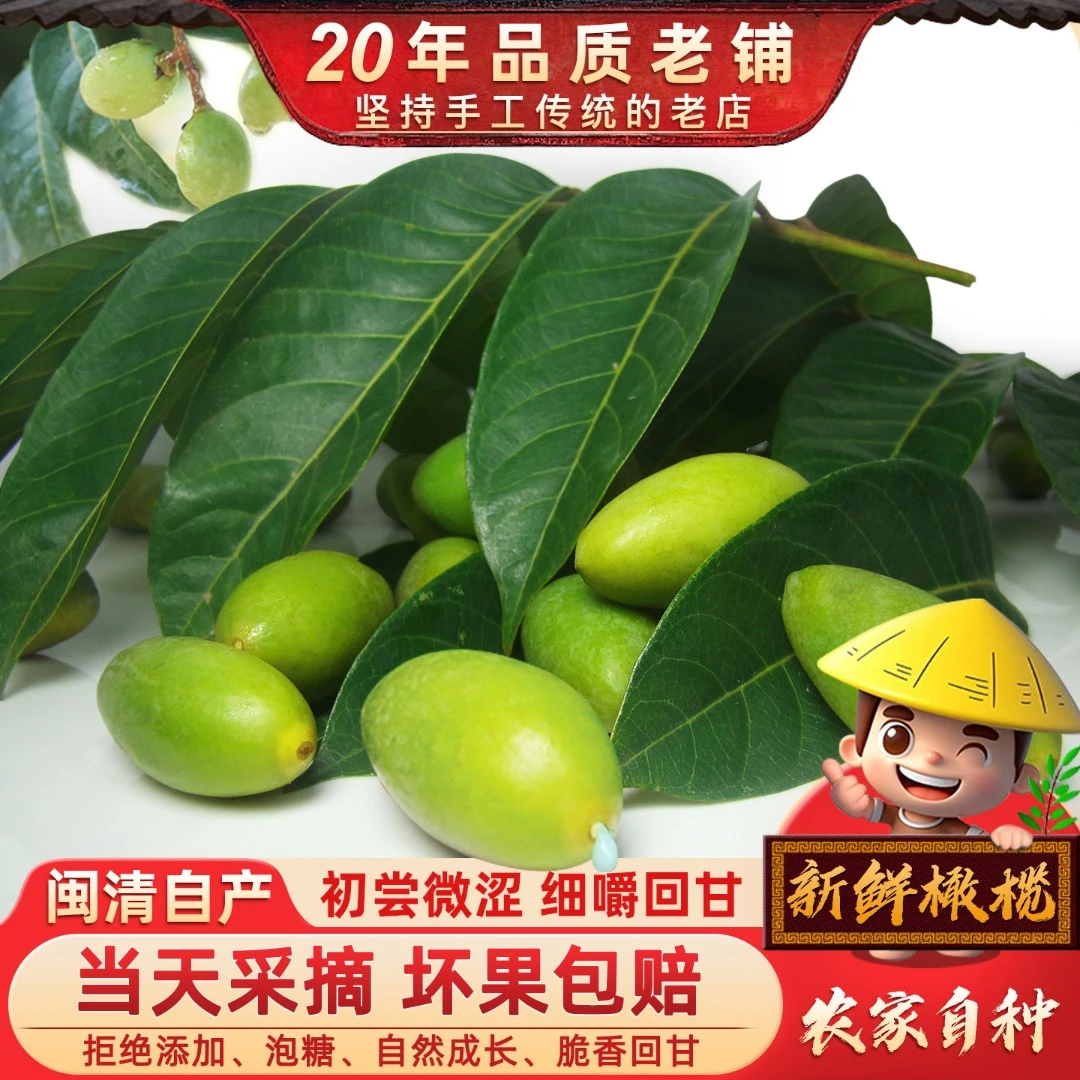 冬季老橄榄煲汤腌制1000g青橄榄产地直发2袋福州特产闽清檀香橄榄