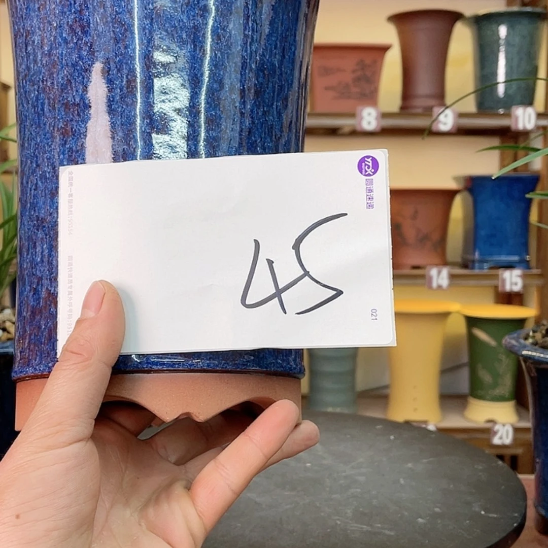【闪购商品】紫砂花盆飞**客兰花755552555655558869