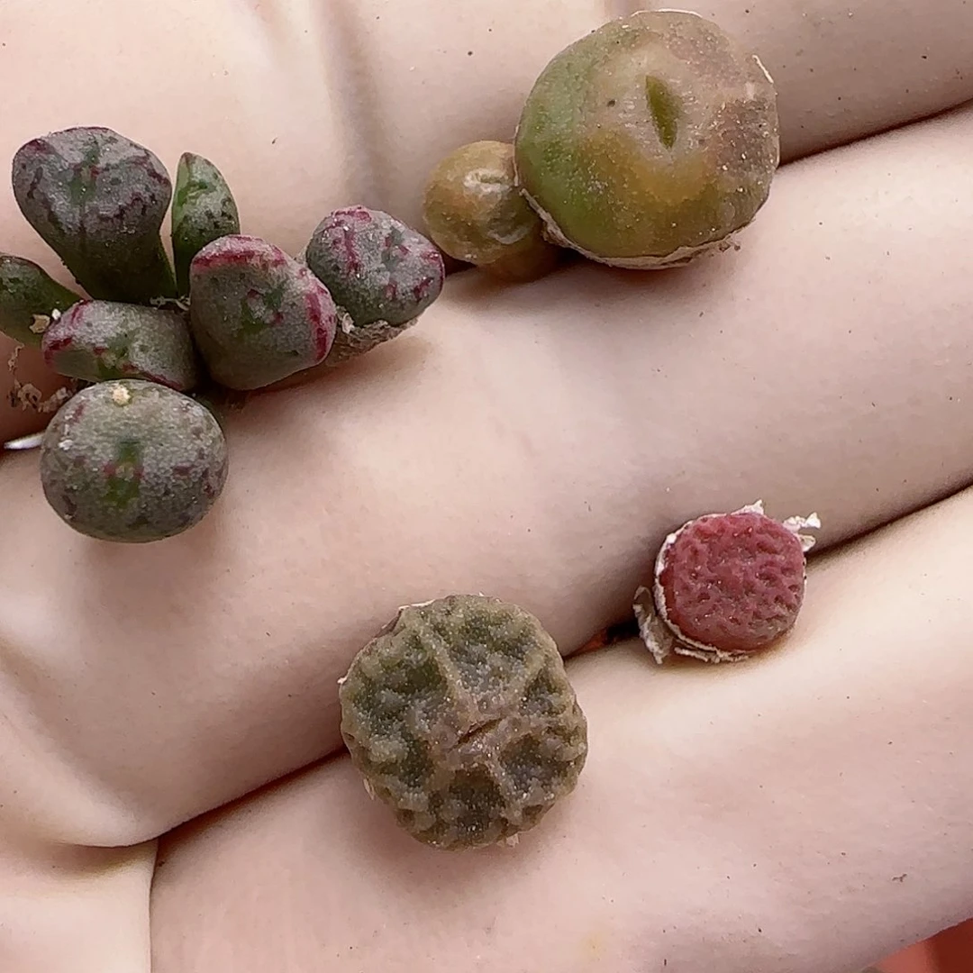 206福利福利福利