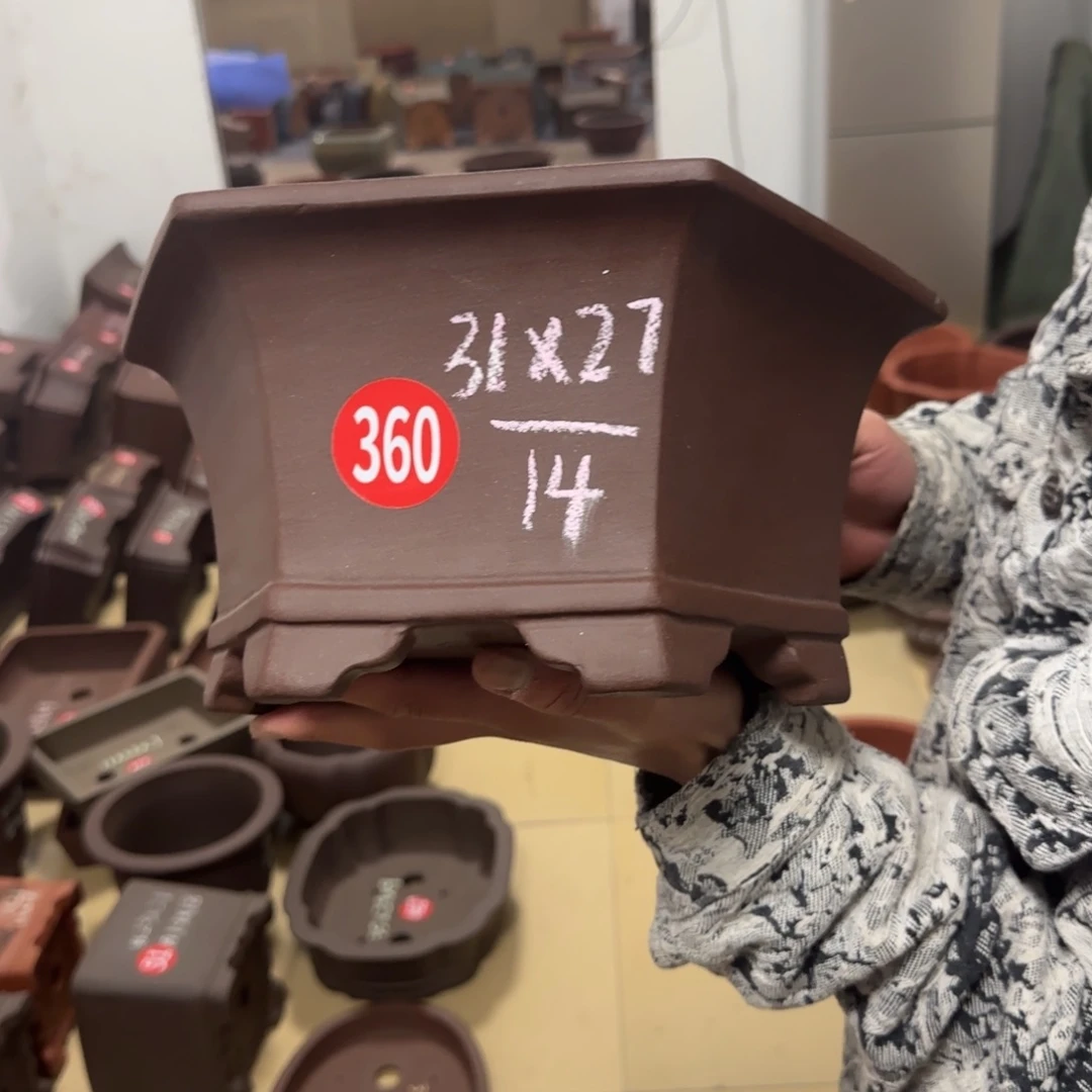 紫砂花盆呜呜呜呜